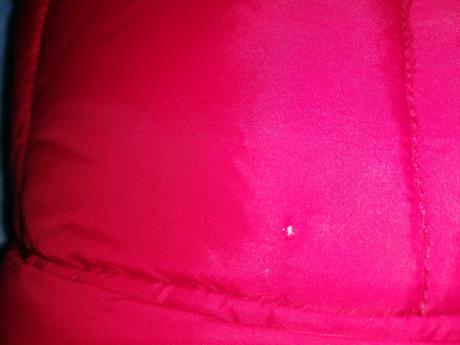 Bordová bunda, zara,116