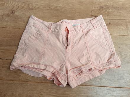 Marhulove sortky camaieu 38, camaieu,38