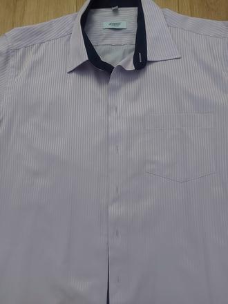 Košeĺa do obleku, l