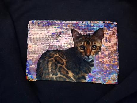 Mikiny 2 ks, house,146