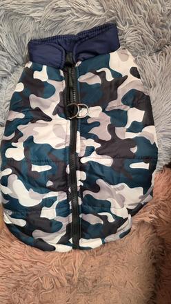 Vetrovka pre psa 40cm,