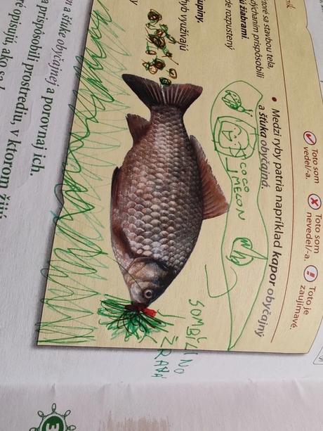 Prírodoveda pre 3. ročník zš, 