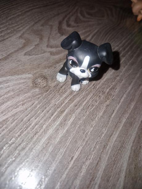 Littlest pet shop boxer, 