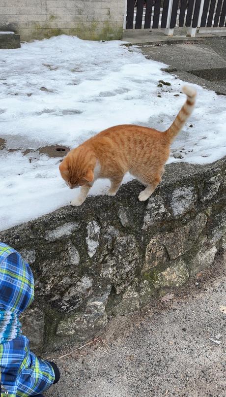 Minikolektív detí v domácom prostredí marec 2026, 