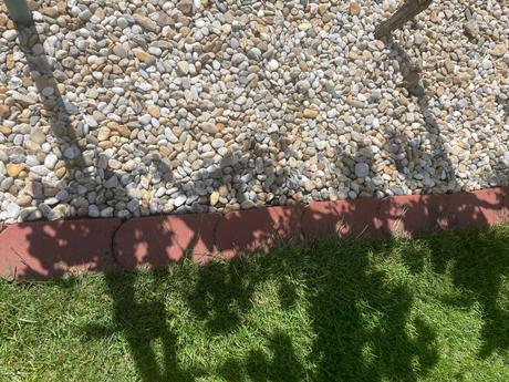 Trávnikovy obrubnik,