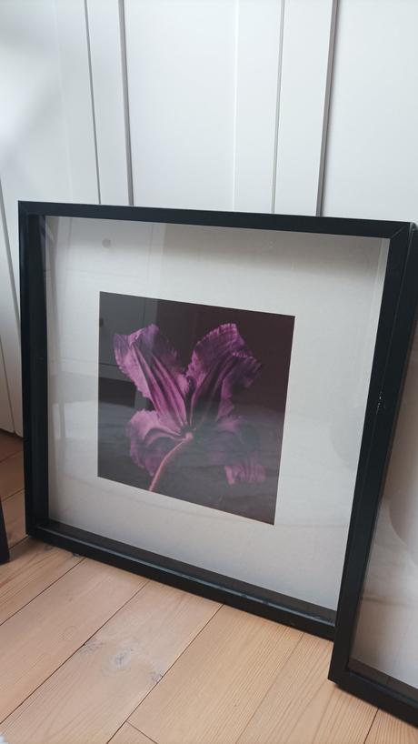 Rámiky s obrazom kvetov, 