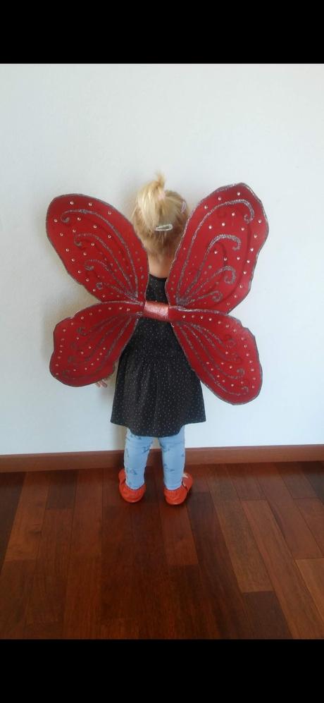 Kostým motýlie krídla, 