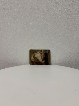 Magnetka,