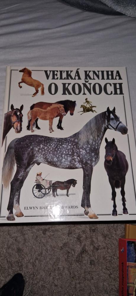 Kniha o koňoch, 