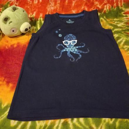 25_triko, s chobotničkou, 110/116, nosené, lupilu,110