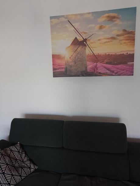 Obraz levanduľové pole a veterný mlyn, 