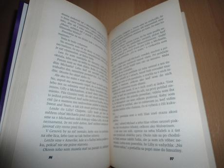 Kniha - princezná na kniežacom dvore,