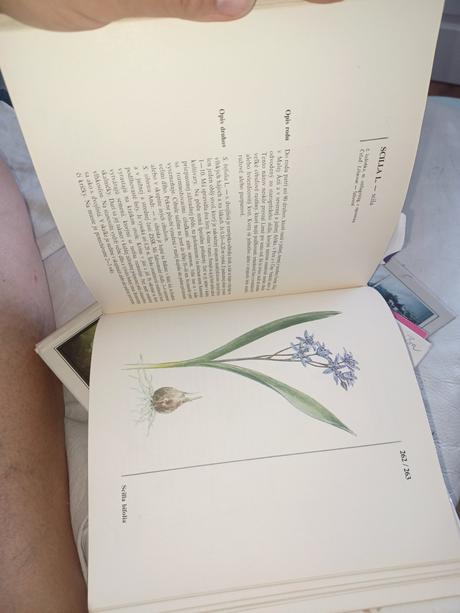 3x kniha,ruze,skalický,tsunami,