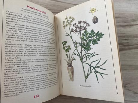 Liečivé rastliny byliny koreniny šedo krejča,