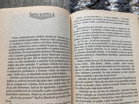 Dar danielle steelová (1998), 