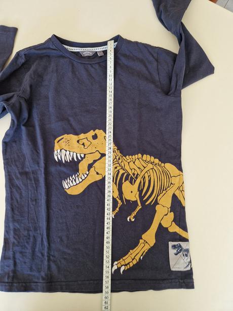 Tričko s t-rexom, 146