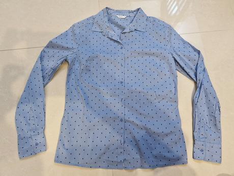 Kosela caliope, calliope,m