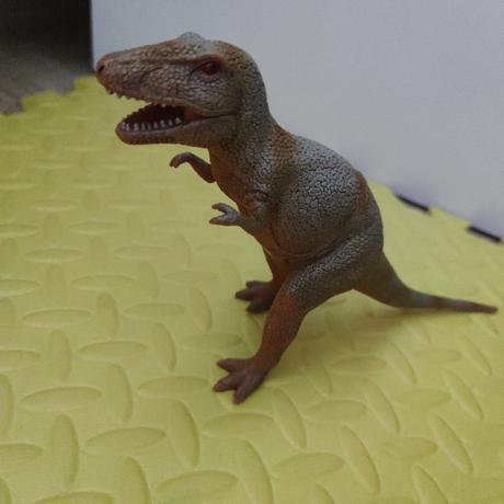 Dinosaurus 15x23 cm,