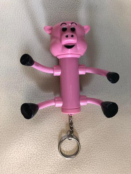 Klucenka prasa so svetlom,