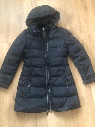 Bunda zimná prada, prada,38