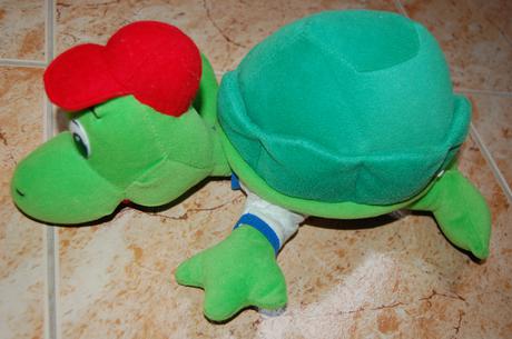 Korytnacka ako vankusik,