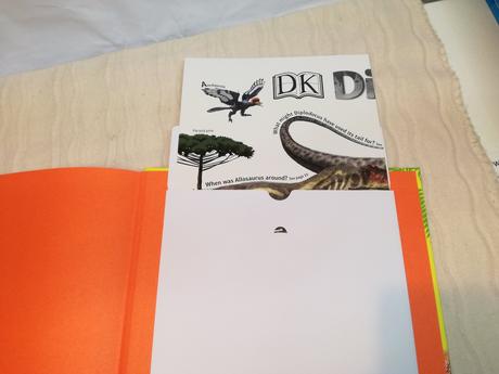 Dk dinosaur a to z nsp20,