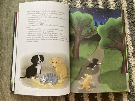 Traja kamaráti (2017), 