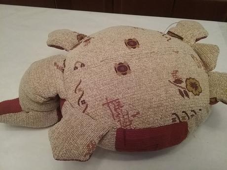 Vankúš korytnačka, 