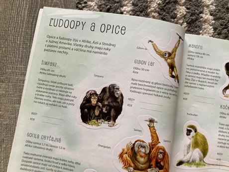 Kniha o zvieratách s nálepkami-zoo,záhrada,motýle,