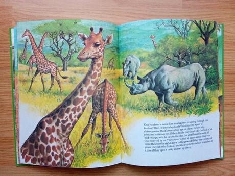 My book of animal stories,