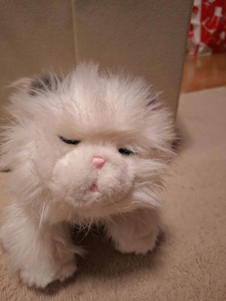 Pradúca,mňaukajúca,papajúca mačka, 