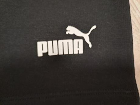 Sukna puma, puma,s