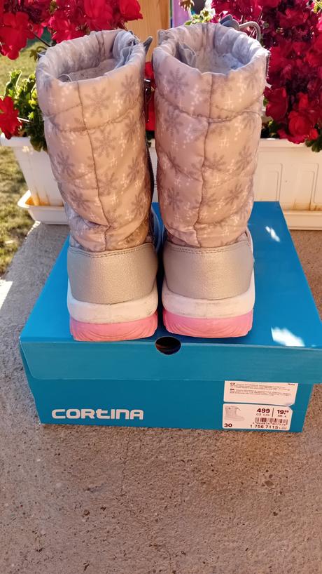 Snehule cortina, 30