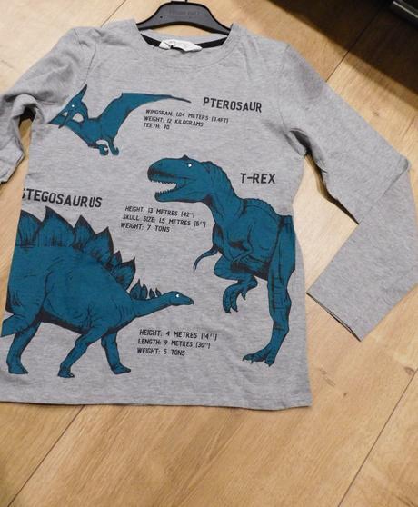 Tričká s dinosaurami, h&m,134