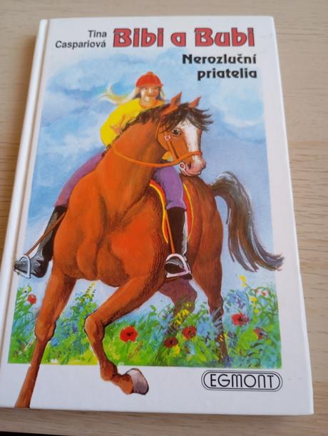 Kniha bibi a bubi,