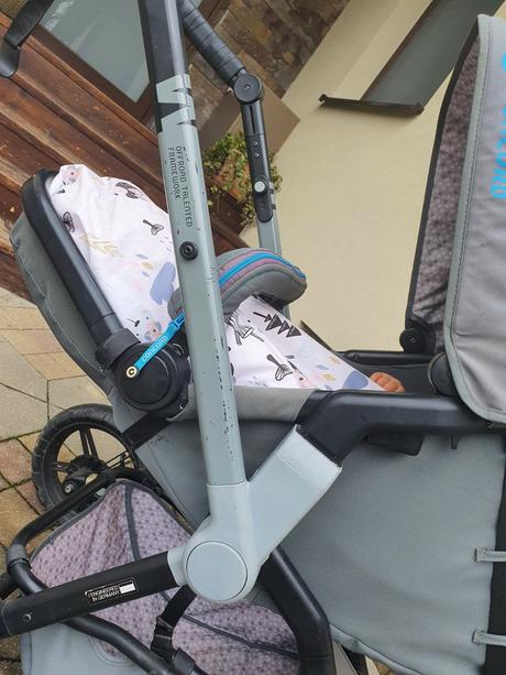 Concord wanderer, concord,concord wanderer