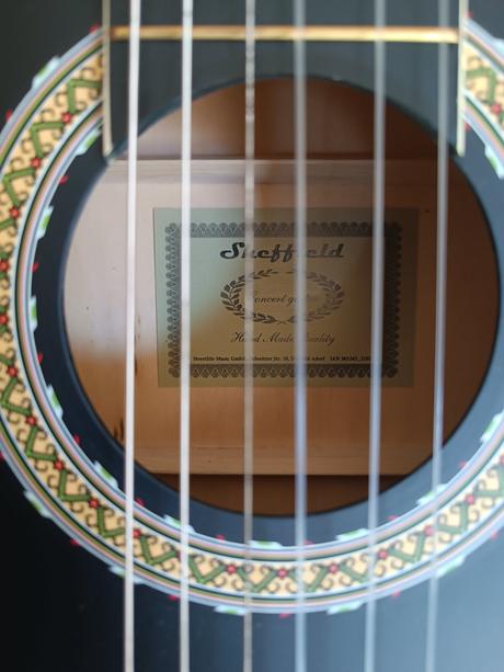 Gitara sheffield (lidl), puzdro, ladička, 