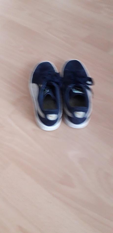 Botasky puma, puma,37