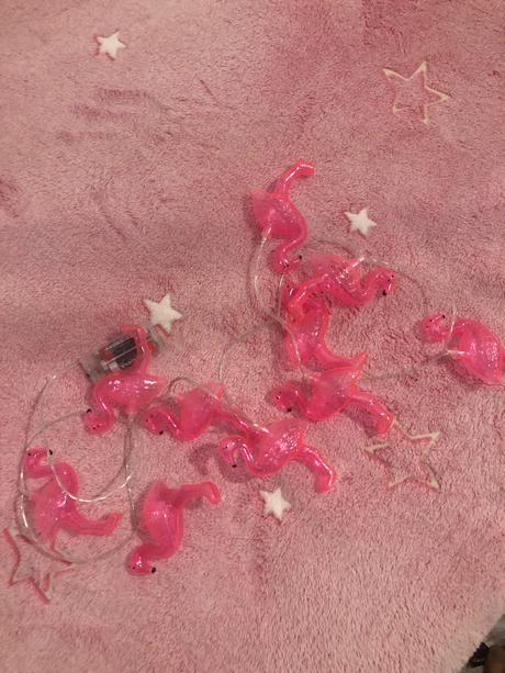 Svietiace plameniaky, 