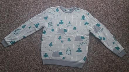 Vianocny svetrik dedoles, m