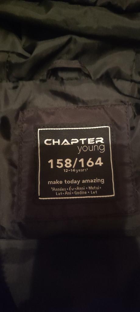 Vesta, chapter young,158