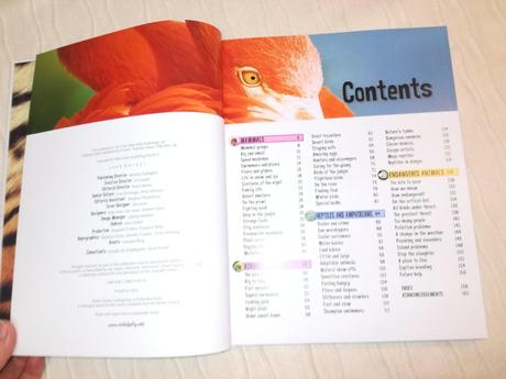 Wild about science animals space, 