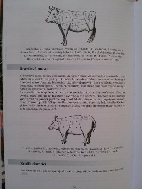 Nové recepty v slovenskej kuchyni,