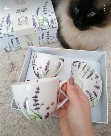 Šálky a podšálky, 