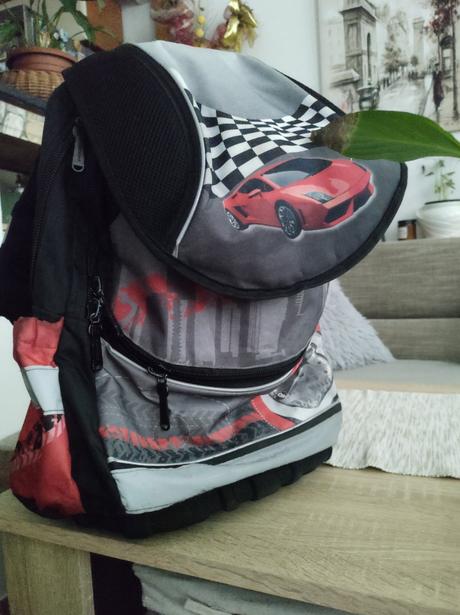 Karton p+p auto anatomický batoh plus - pošta zdar, 