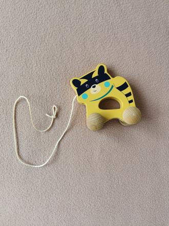 Tahaci tiger drevenny,