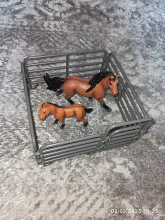 Koníky a ohrádka,