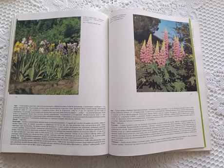 Kvety moja záľuba,