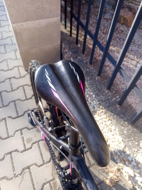 Dievčensky bicykel, 24