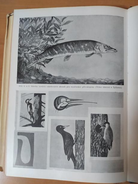 Metodika prírodopisu (1964), 